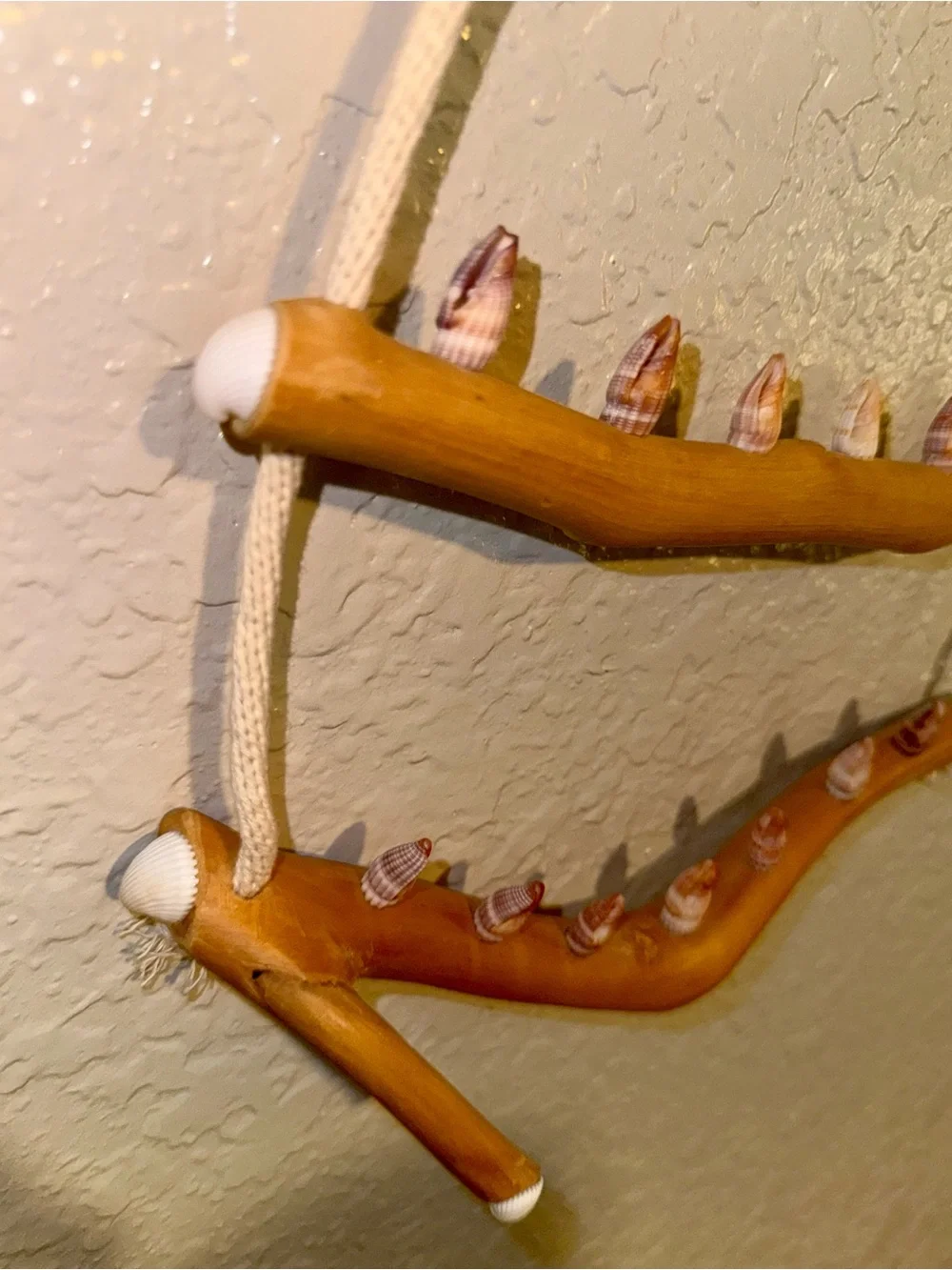 Driftwood And Rope Wall Hanging With Seashell Hooks For Jewelry
